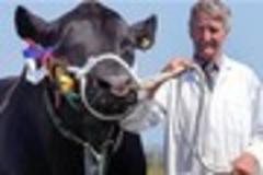 Camborne Show voted a huge success